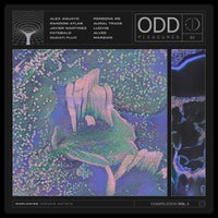 VA - ODD Pleasures Compilation Vol.1 [ODD001]