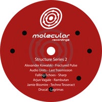 Alexander Kowalski - Fractured Pulse album artwork