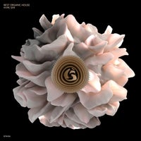 VA - Best Organic House Hype SFR [SFRH04]
