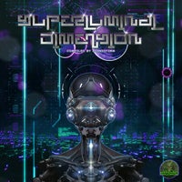 VA - Superluminal Dimension [Shamanism Records]