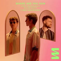 Lost Frequencies & Calum Scott - Where Are You Now album artwork
