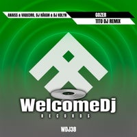Anaiss & Vaqu3ro, DJ Hakan & Dj Kolyn - Gozer (Tito DJ Remix) album artwork