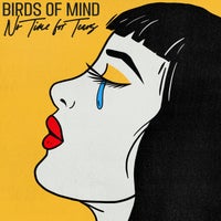 Birds of Mind - No Time for Tears (Nick Morgan Rework) album artwork