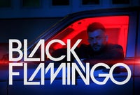 Black Flamingo