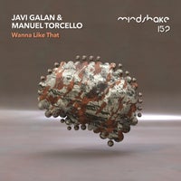 Javi Galan & Manuel Torcello - Wanna Like That (Radio Edit) album artwork