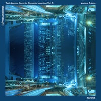 VA - Tech Avenue Presents Junction Vol. 5 [Tech Avenue Records]