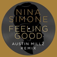 Nina Simone - Feeling Good album artwork