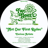 VA - Not Our First Rodeo TGD002
