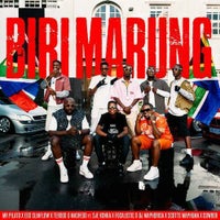 Mr Pilato, Ego Slimflow & Tebogo G Mashego - Biri Marung (feat. Sje Konka, Focalistic, DJ Maphorisa, Scotts Maphuma & CowBoii) album artwork