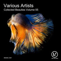 VA - Collected Beauties, Vol. 5 [IN2U044]