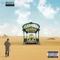 DJ Snake - Middle (Wildfellaz Remix) album artwork