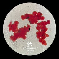 dxrvo - Thalassophobia (SYEP049) album artwork
