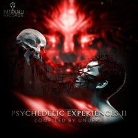 VA - Psychedelic Experiences II [Patanjali Records]