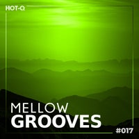 VA - Mellow Grooves 017 [LW Recordings]