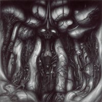 Nwhr - Strength To Endure album artwork