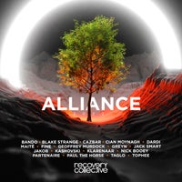 VA - Alliance 2022 RCVA07
