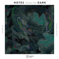 VA - Notes from the Dark, Vol. 20 [Voltaire Music]