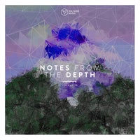 VA - Notes from the Depth, Vol. 19 [VOLTCOMP1040] [FLAC]