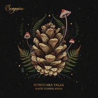 VA - Songuara Tales 02 SGT02