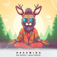 No Hopes & Max Freeze - Dreaming album artwork