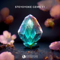 VA - Steyoyoke Gems Vol 11 SYYKCOMP018