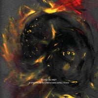 Boyd Schidt - Anteater album artwork