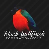 VA - Black Bullfinch Compilation Vol. 1 BF356