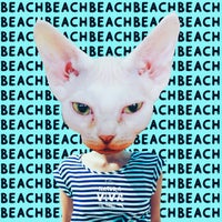 VA - Beach NATCOMPI008
