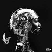 Little Simz - Mood Swings album artwork