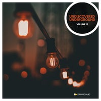 VA - Undiscovered Underground Vol 13 [FM049LP]