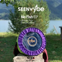 sEEn Vybe - No Fish (Carkeys Remix) album artwork