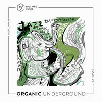 VA - Organic Creations Issue 28 [VOLTCOMP1036] [FLAC]