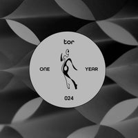 VA - TOR One Year (TOR)