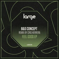 B&S Concept - Feel Good EP - (Large Music)
