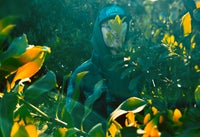 Woods