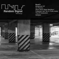 Ruud S - Metaphysic [Random Signal Recordings]