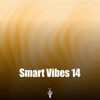 VA - Smart Vibes 14 [Smart Phenomena Records]