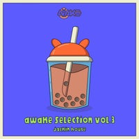 VA - AWK Selection Vol. 3 [AWK Recordings]