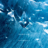 VA - Purified Fragments X PF090