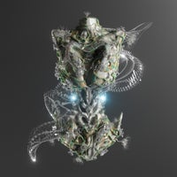 Sideral - Selva Floresta album artwork