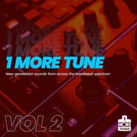 VA - 1 More Tune Vol 2 [1 More Thing]