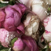 Tham - World of Rave album artwork