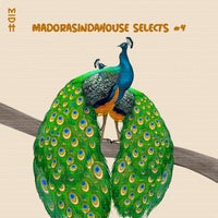 VA - Madorasindahouse Selects 4 - (Madorasindahouse Records)