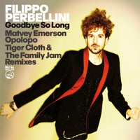 Filippo Perbellini - Goodbye So Long (Remixes) - (IRMA DANCEFLOOR)