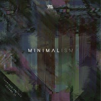 VA - Minimalism Vol. 13 [VMCOMP976]