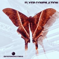 VA - Flyer Compilation [Biosfere Records]