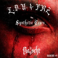Lucem Demostrat Umbra & FRZ - Forgotten Tears album artwork