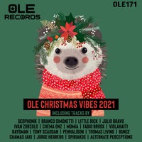 VA - Ole Christmas Vibes 2021 OLE171