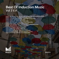 VA - Best of Induction Muzic Vol. 3 - (Induction Muzic)
