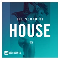 VA - The Sound Of Afro House, Vol. 15 [LWTSOAH15]